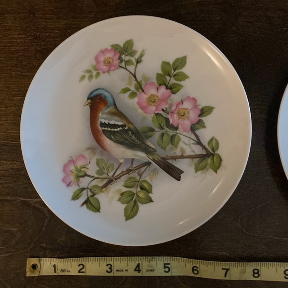AK Kaiser porcelain, set of 2 decorative plates, bird collectibles - Picture 8 of 8